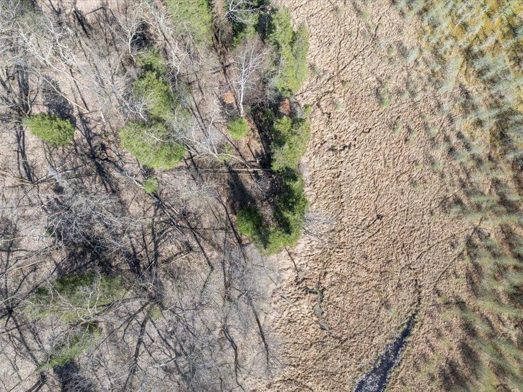 19-DJI_20250506154103_0418_D.jpg