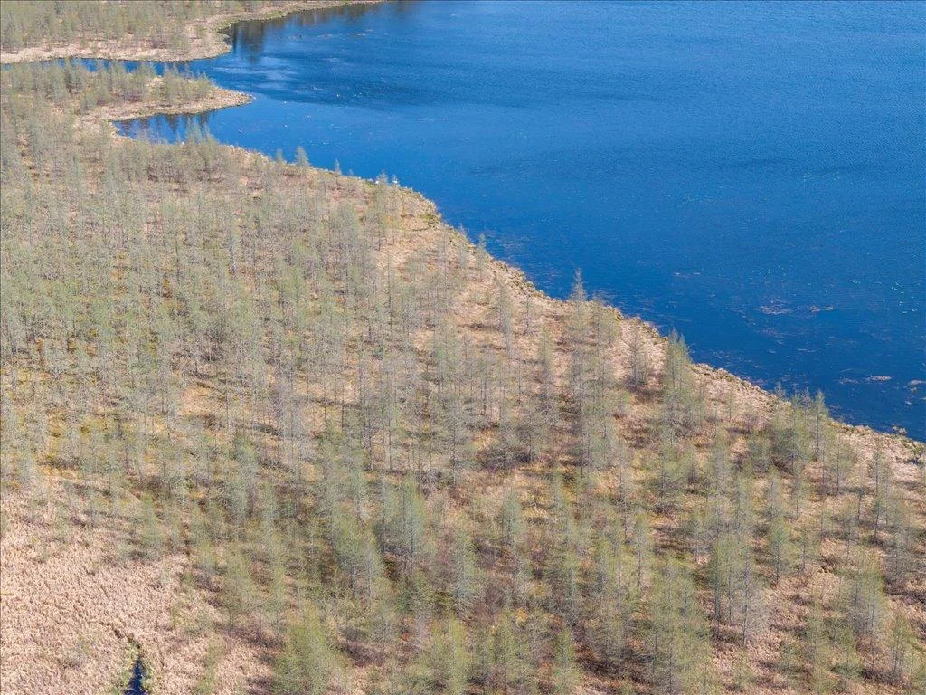 07-DJI_20250506153726_0382_D.jpg