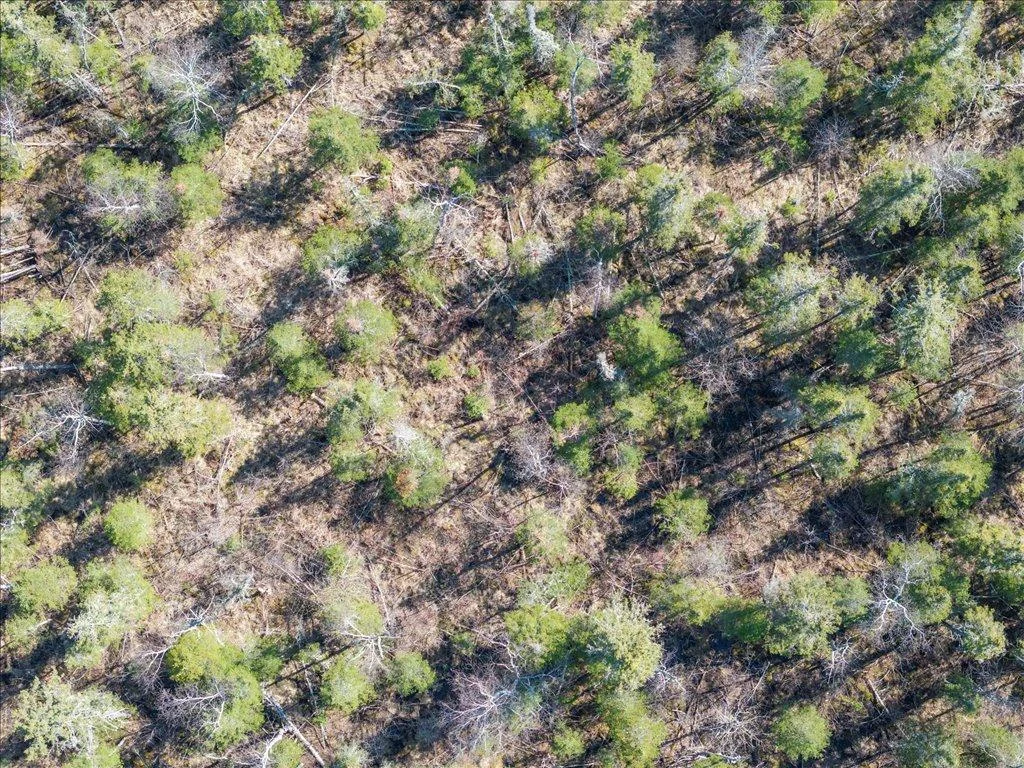 04-DJI_20250506153643_0373_D.jpg