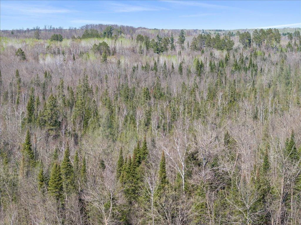 10-DJI_20250506153803_0391_D.jpg