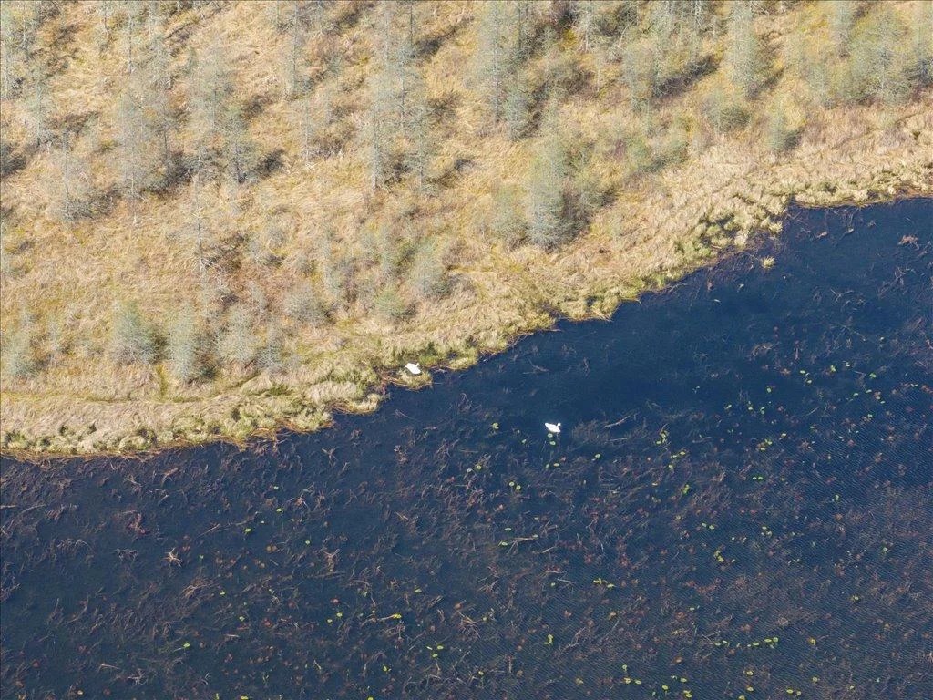 15-DJI_20250506153936_0407_D.jpg