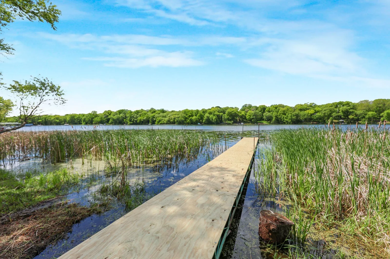 Dock - newly surfaced.jpg