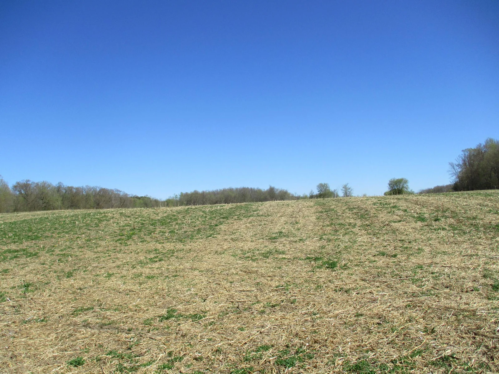 From the front of the property, looking towards the rear.