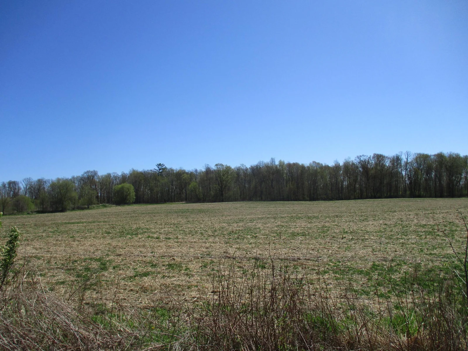 Looking East across the property.