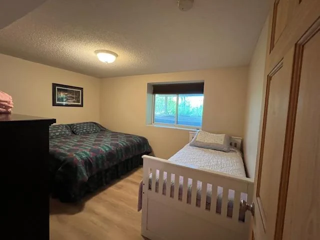 Lower level bedroom