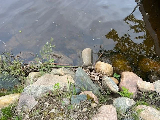Rocky shoreline with hard sand bottom