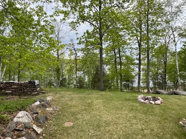 Firepit and yard