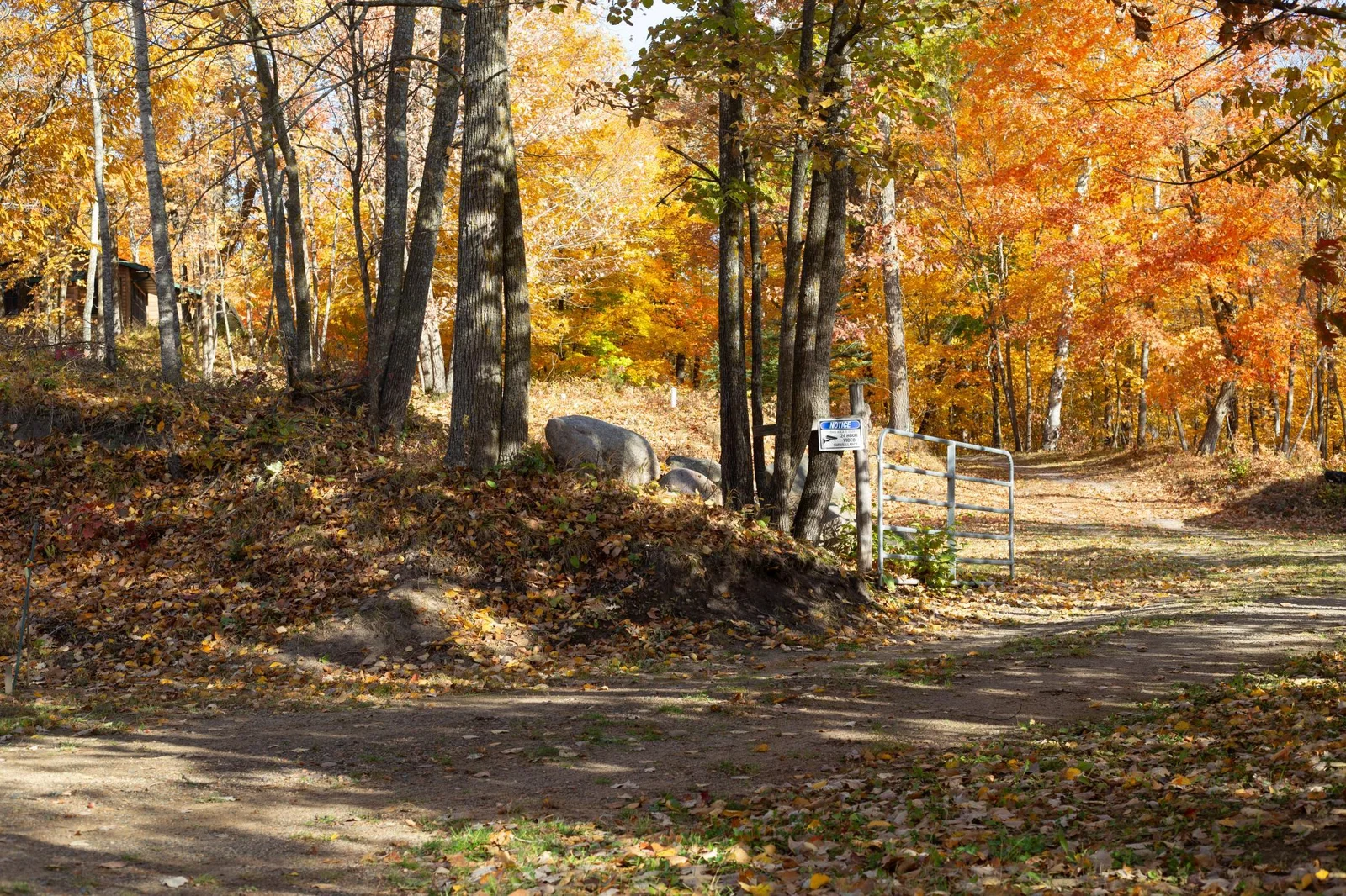 Driveway into cabin