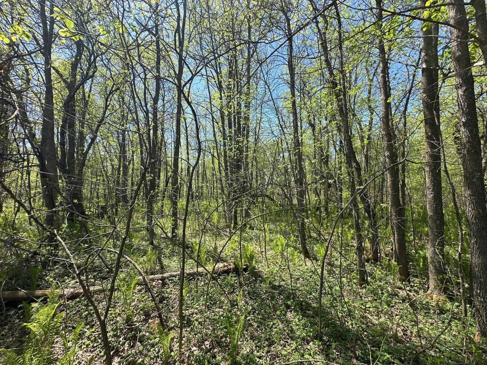 IMG_3359.JPG