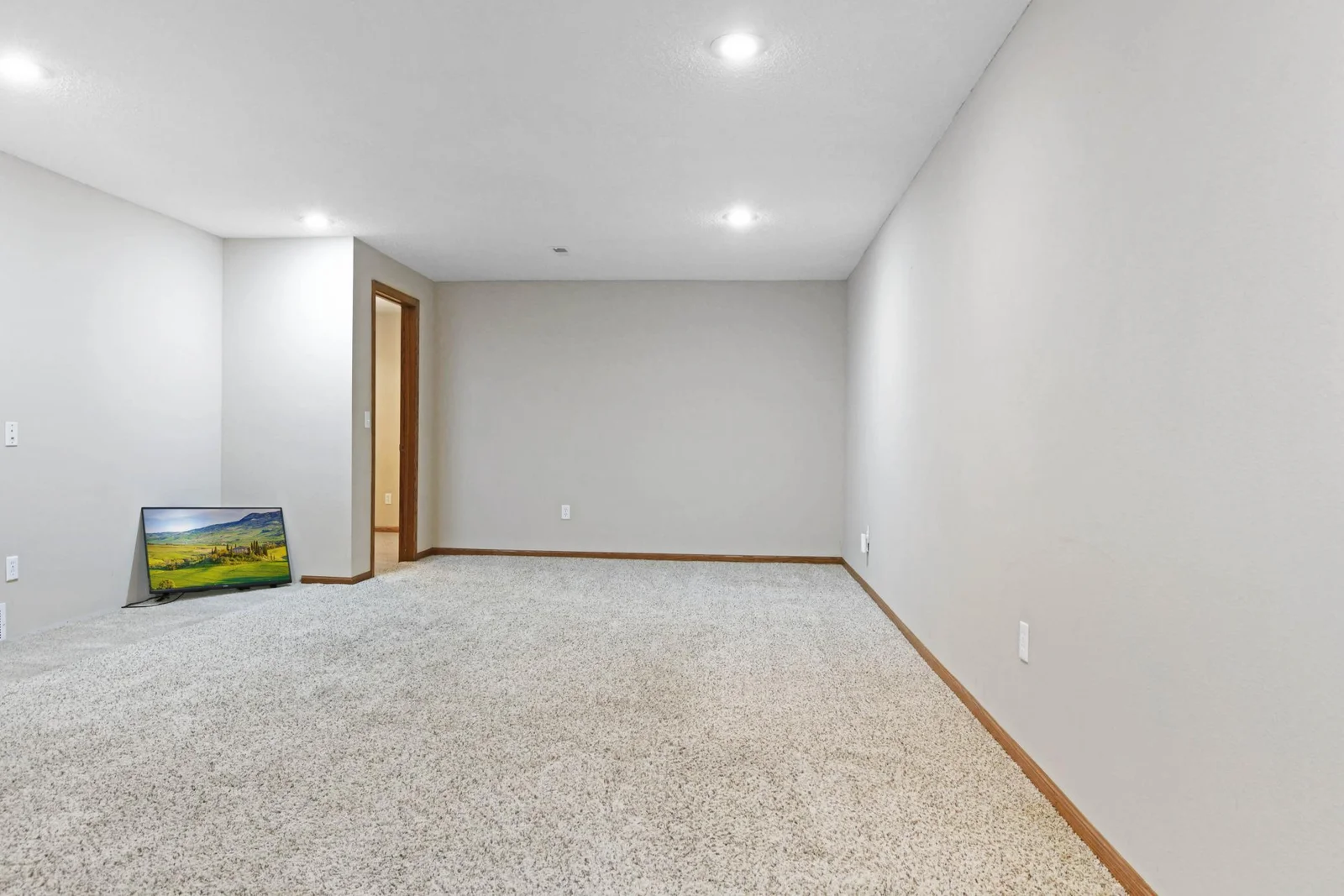 Lower level rec/family room