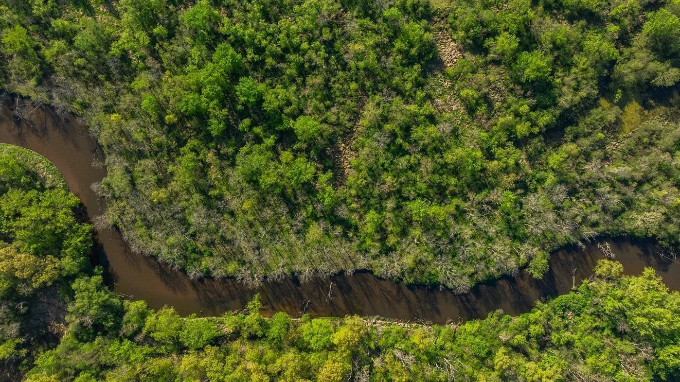 DJI_20250512080342_0080_D.jpg