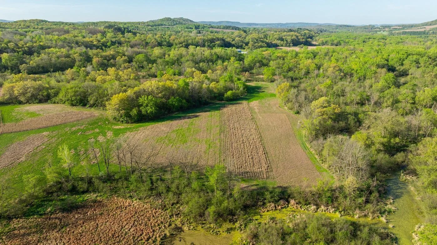 DJI_20250512075920_0067_D.jpg