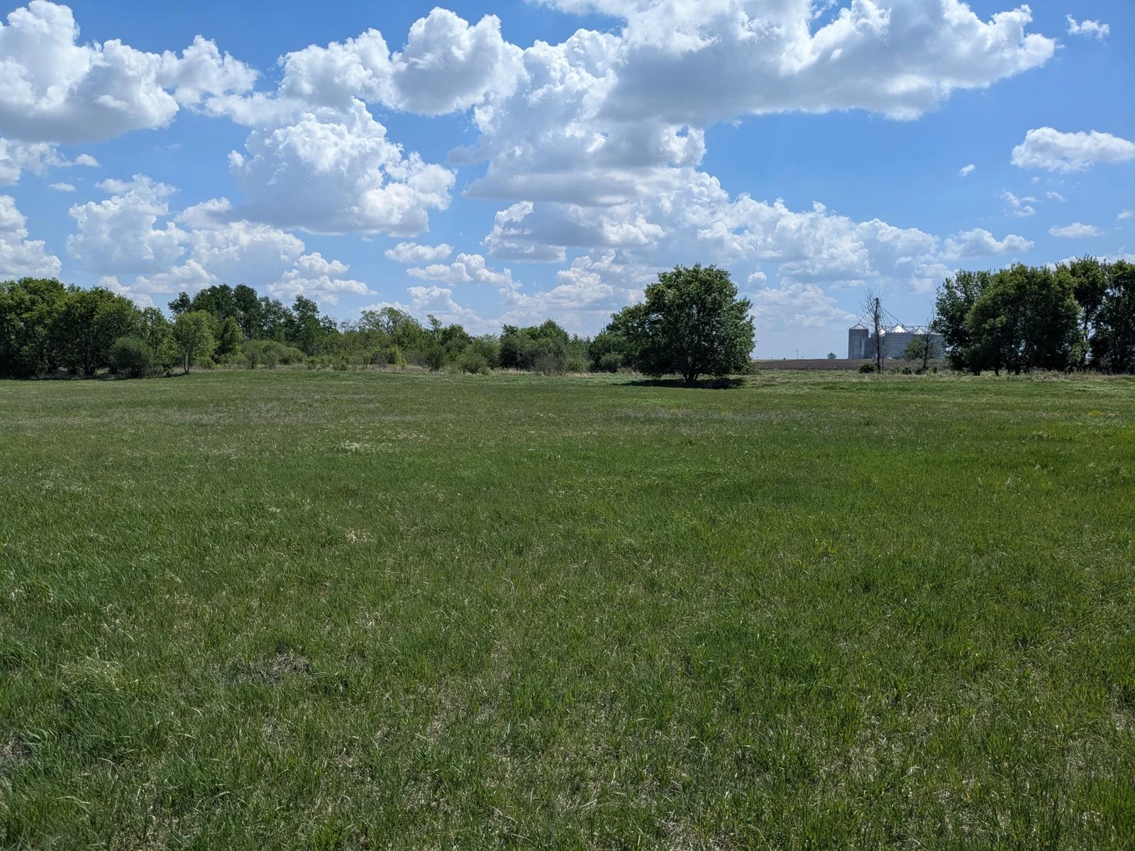 PXL_20250514_173402377.jpg