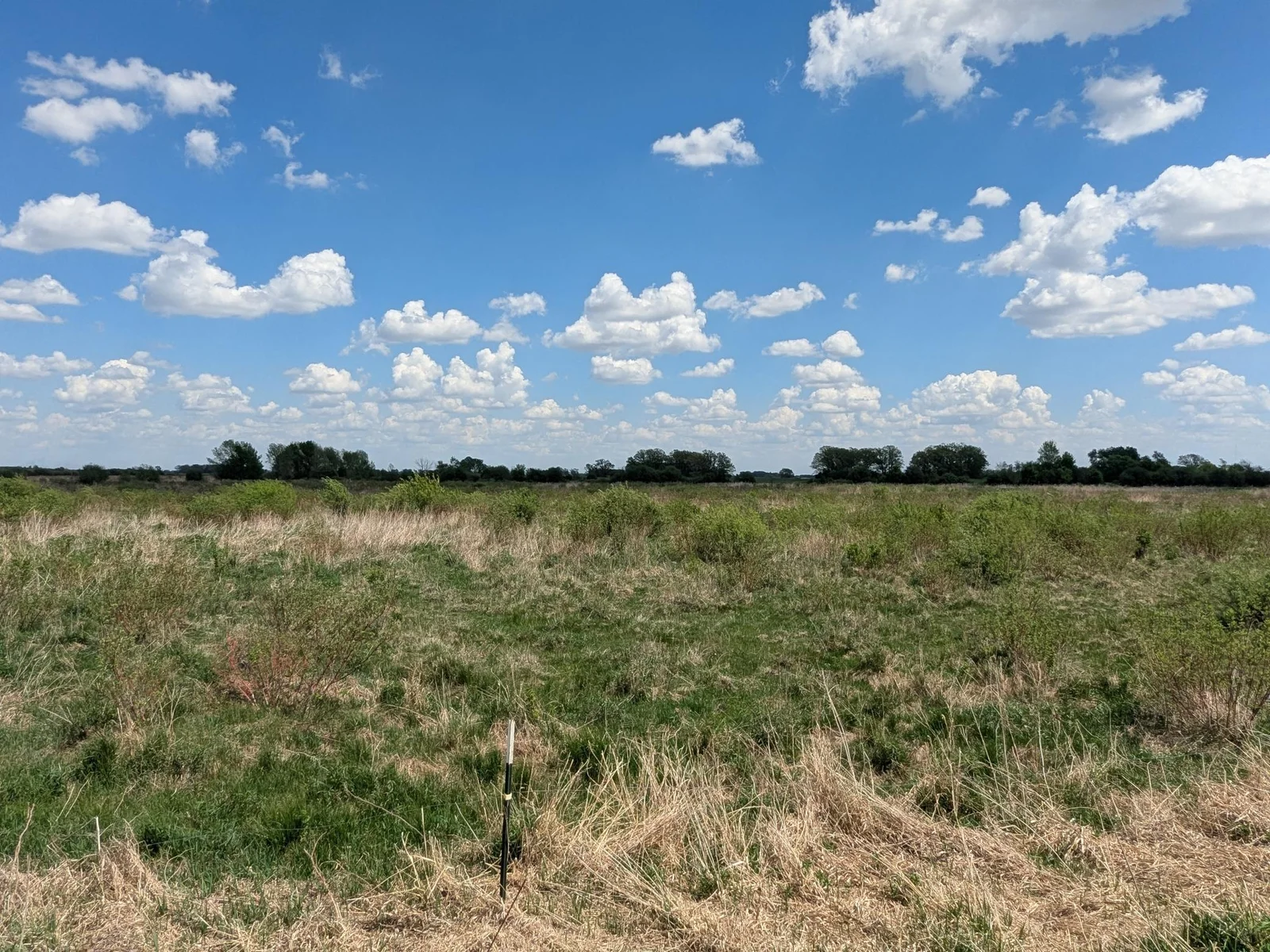 Pasture/Hunting/Rec Land