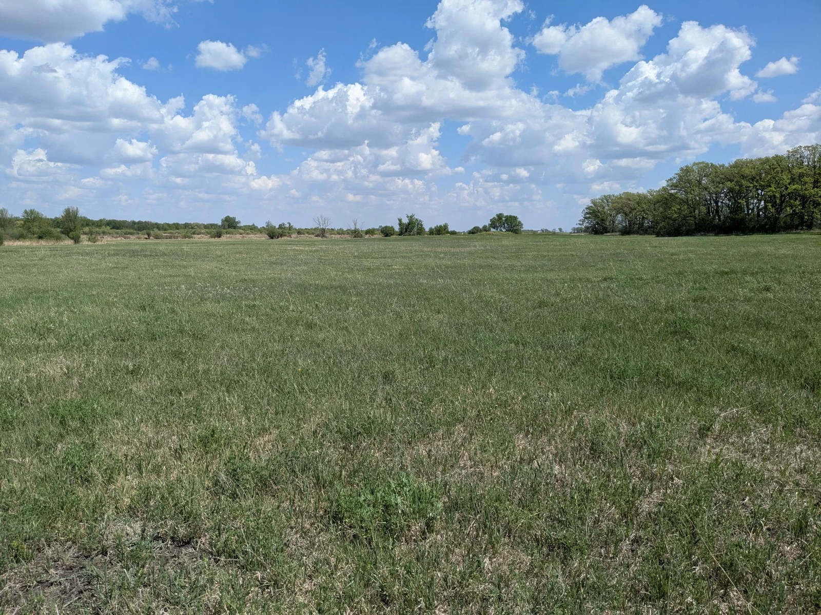PXL_20250514_173505811.jpg