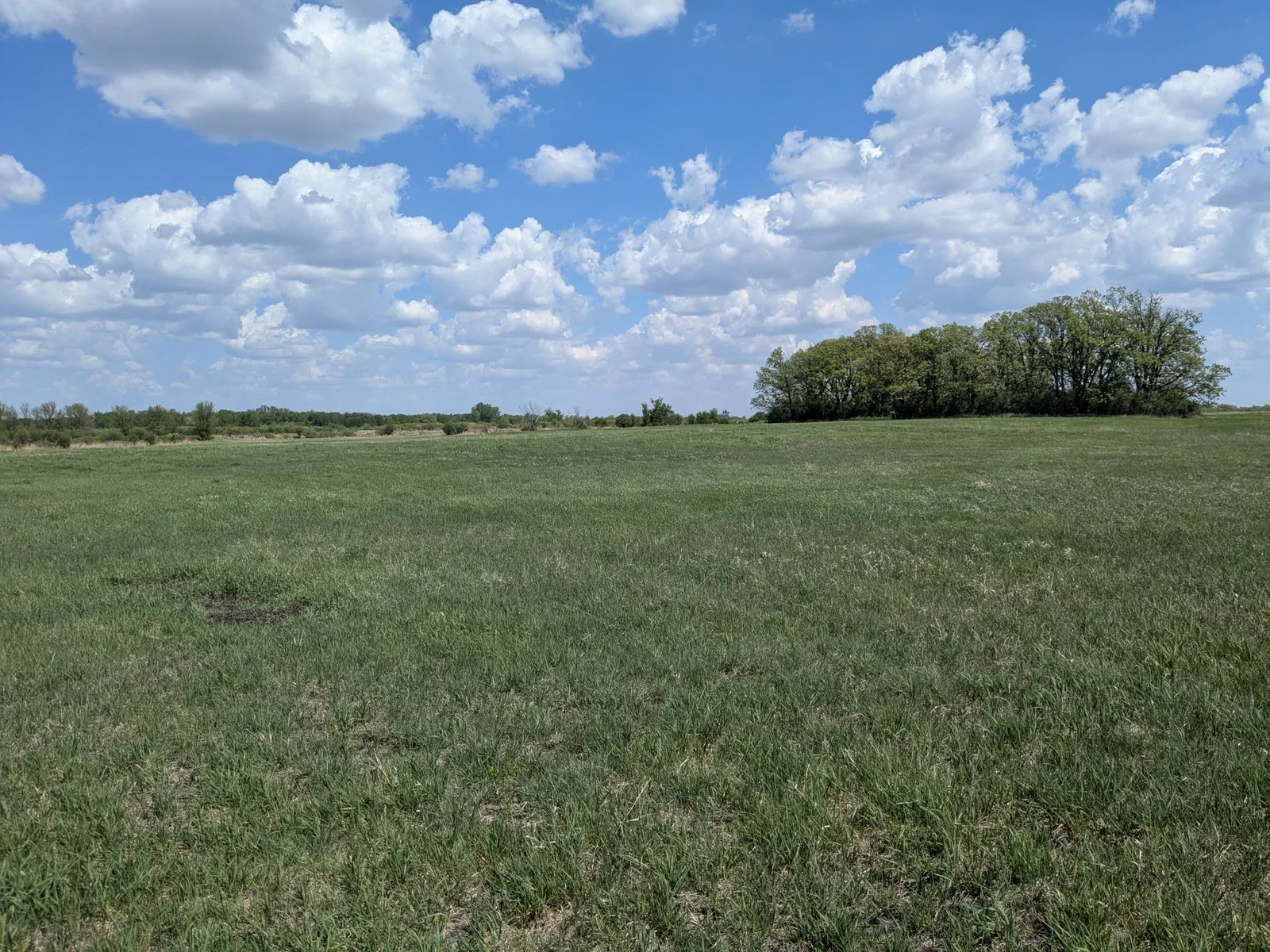 PXL_20250514_173359364.jpg