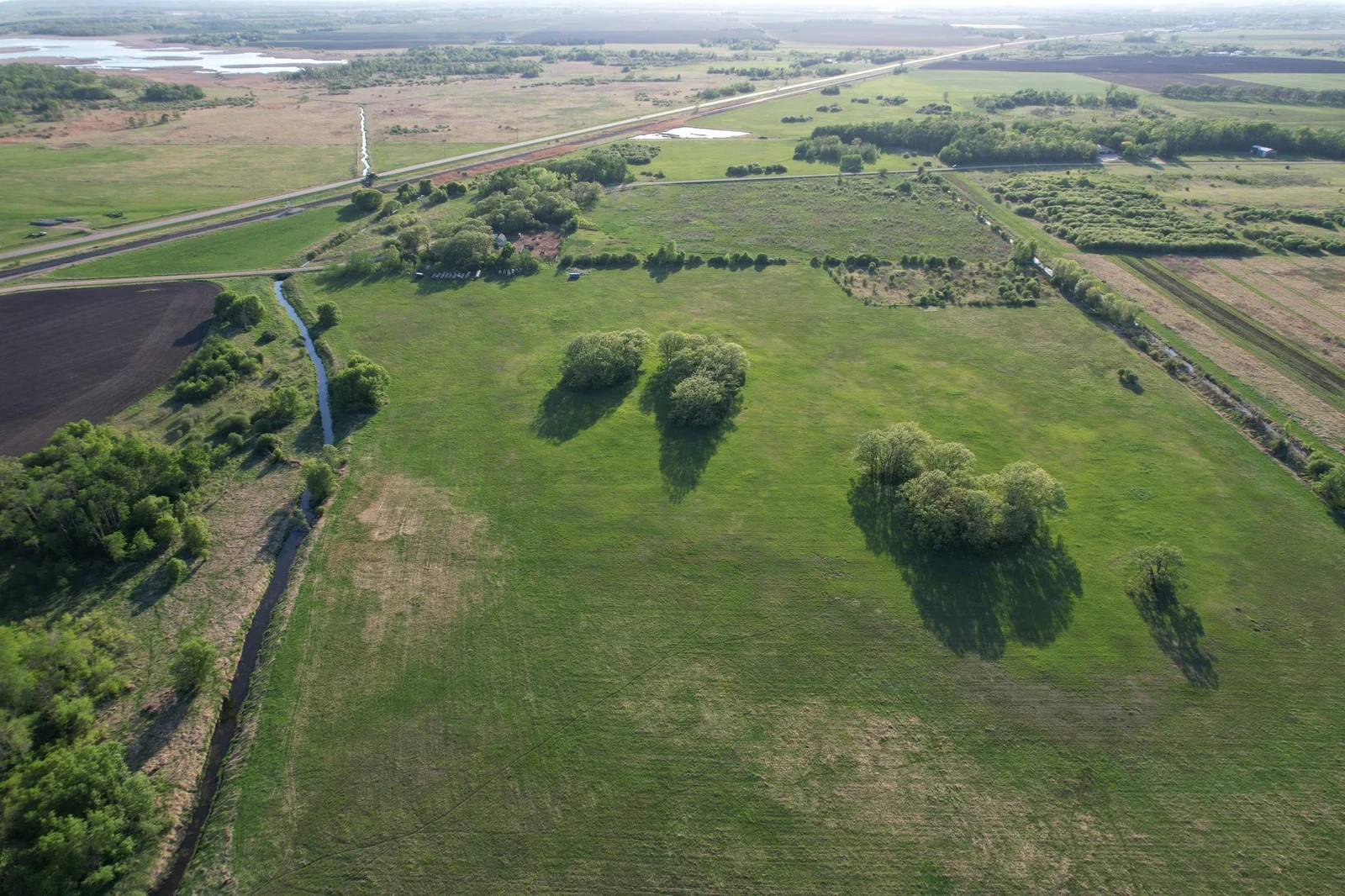 Facing West (East Field)
