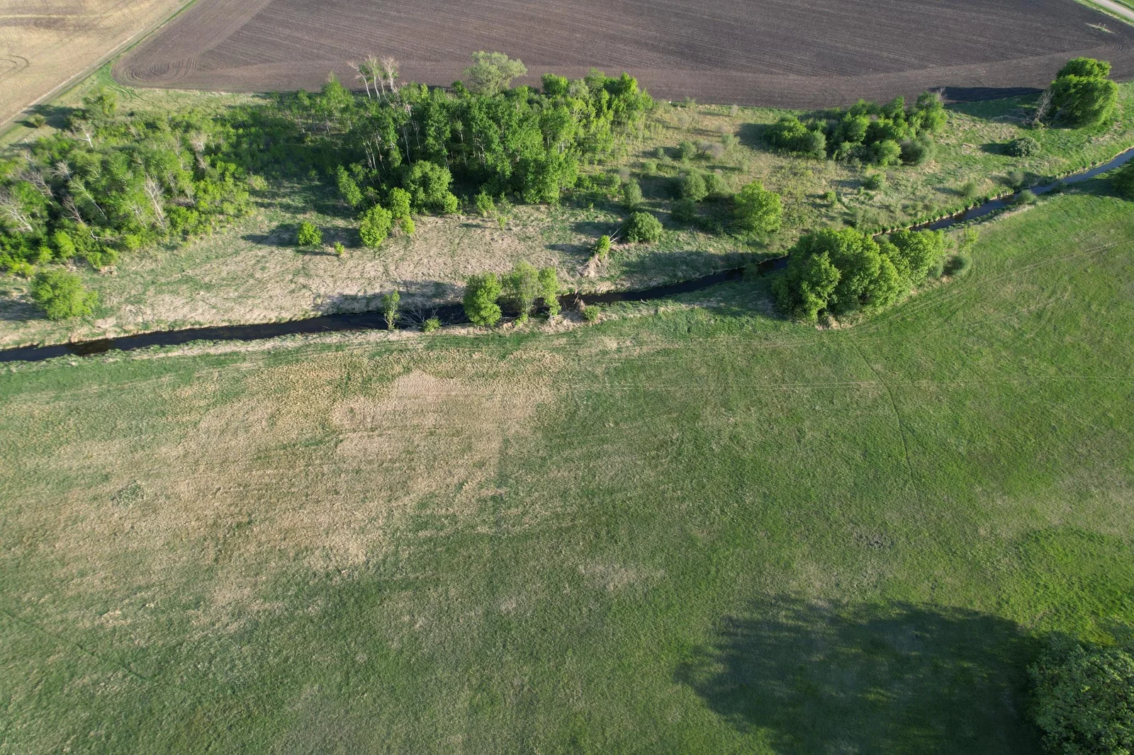 Facing South (Hunting/Rec Land on Skunk River)