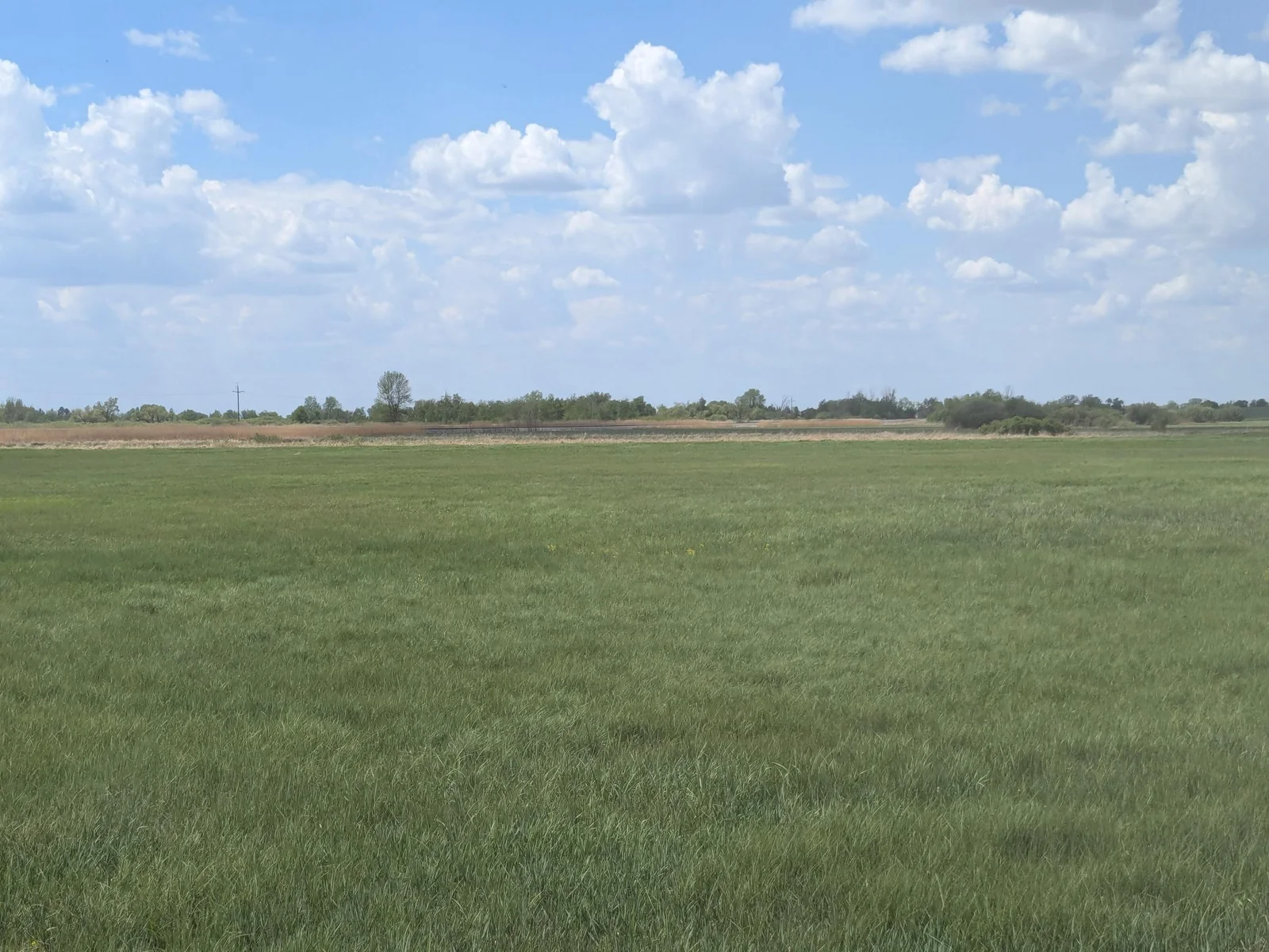 PXL_20250514_184627693.jpg