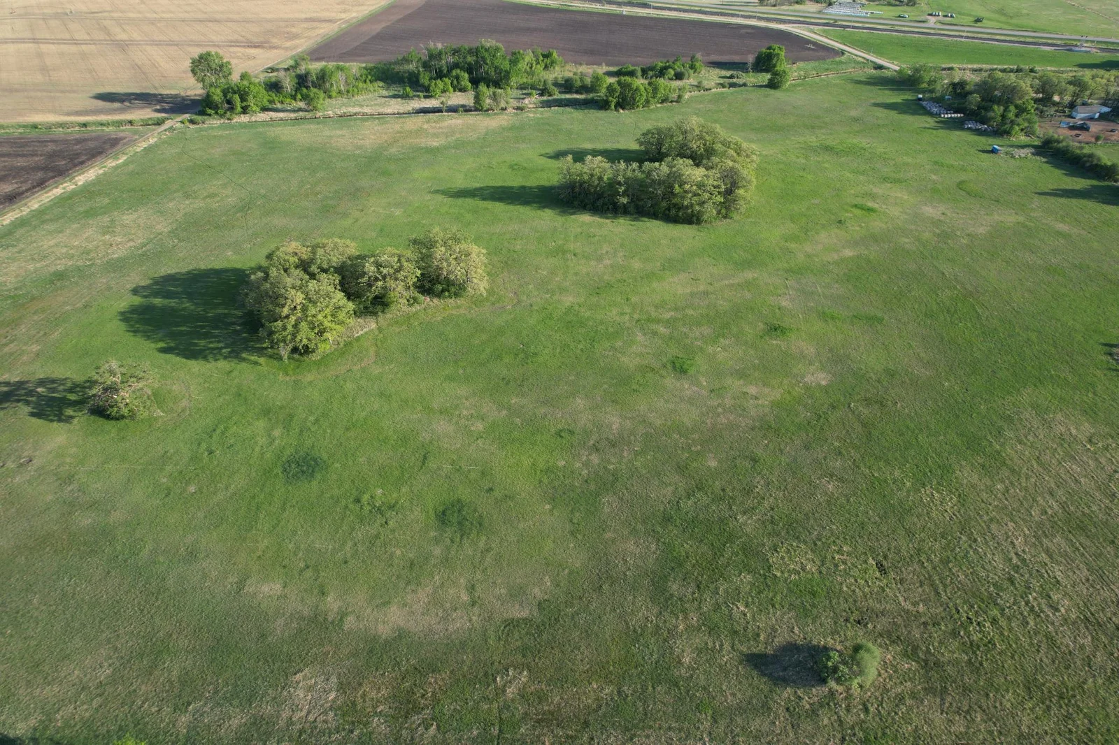 Facing South (East Field)