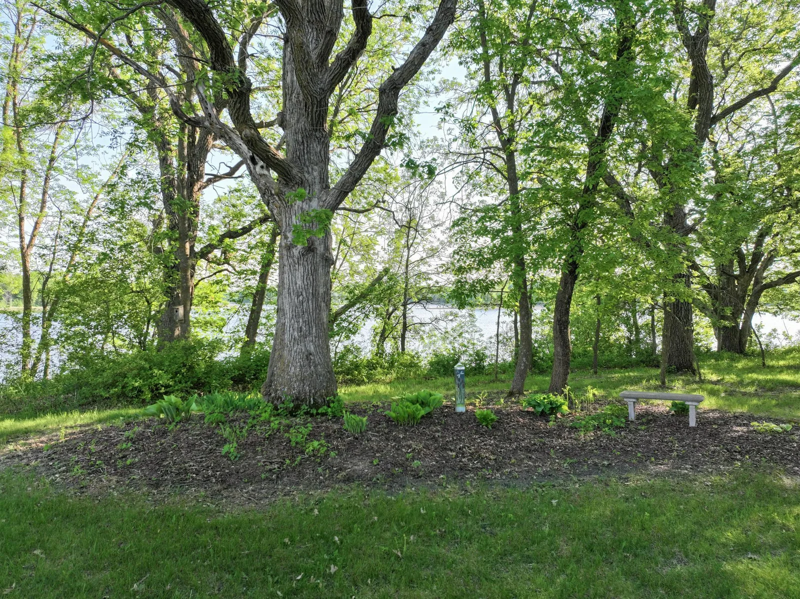 Flower beds