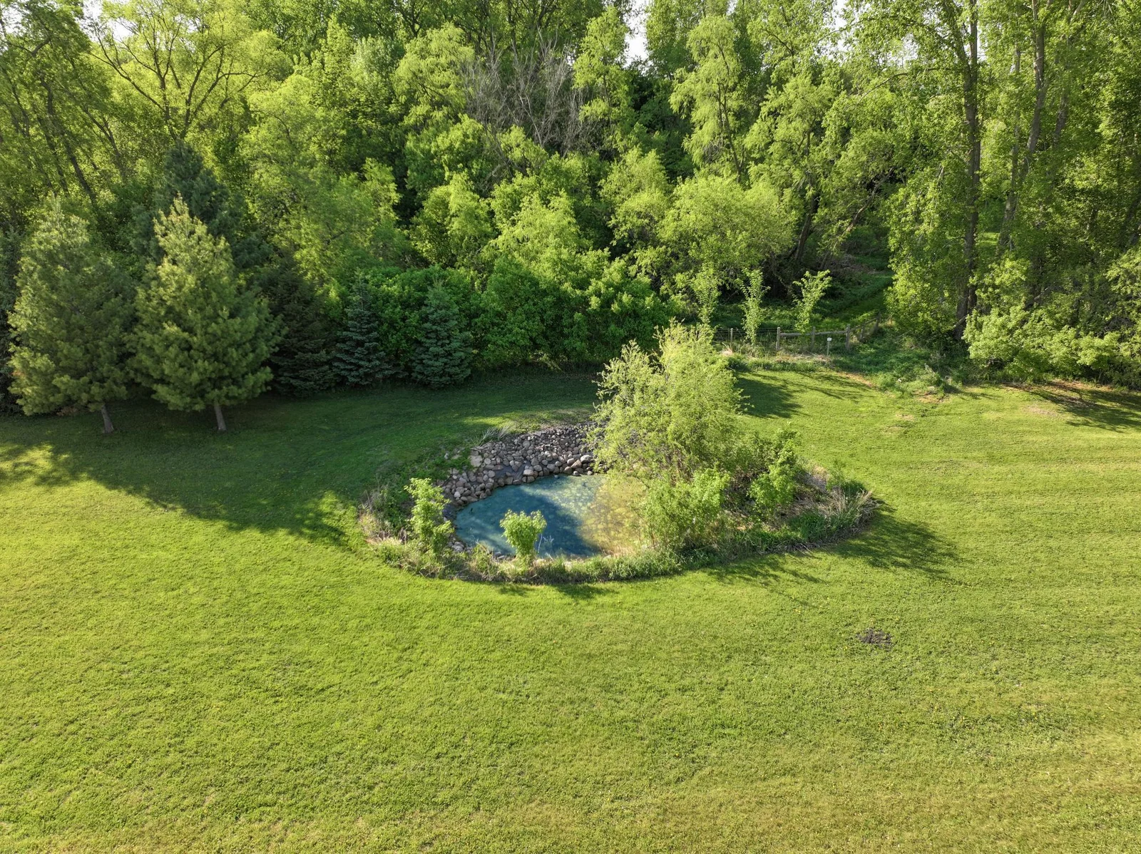 Pond