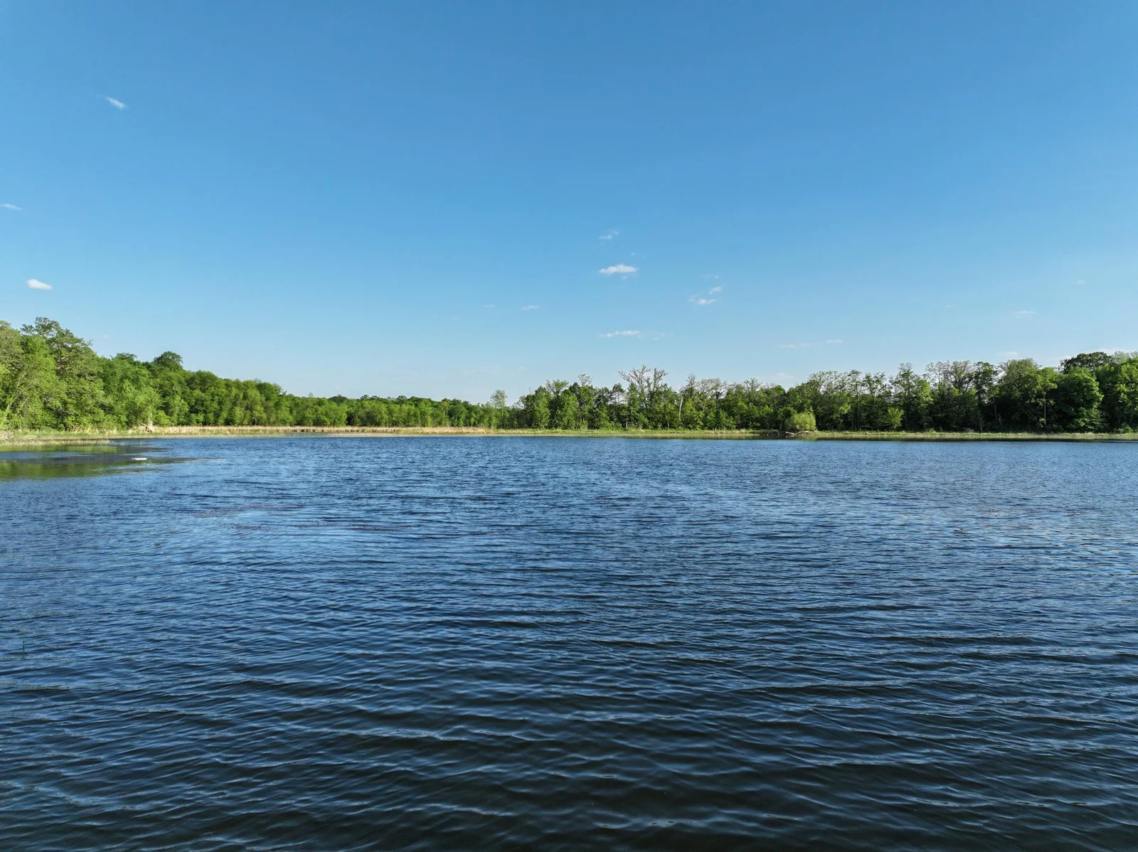 Lakeshore