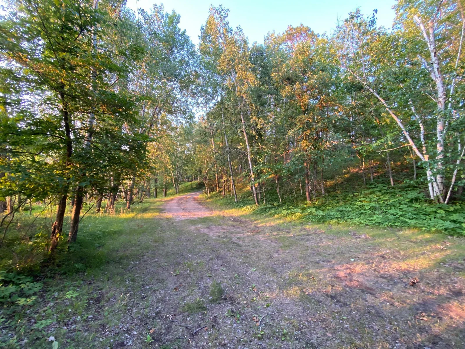 IMG_3742.JPG