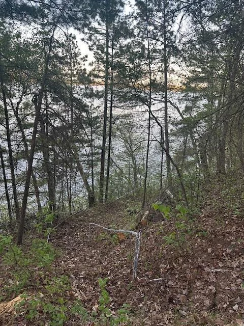 Shoreline.jpg