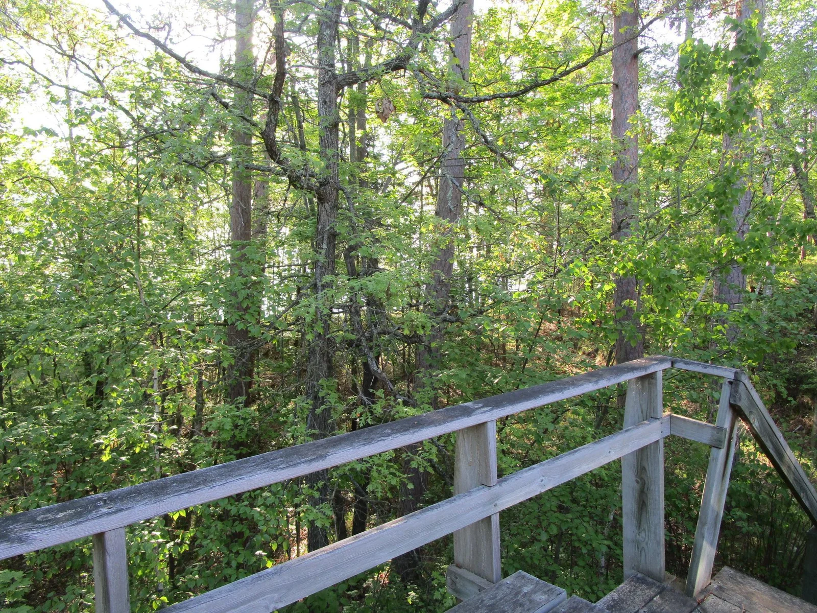 View from Deck.JPG