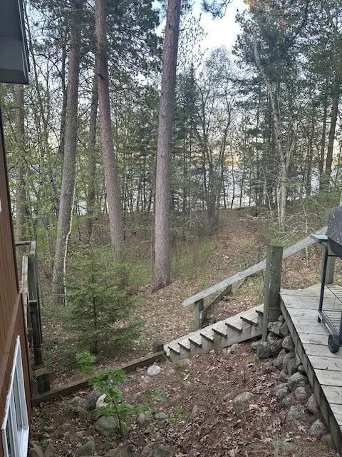 View of Lake.jpg