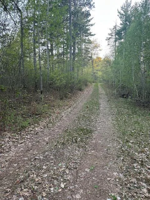 Driveway.jpg