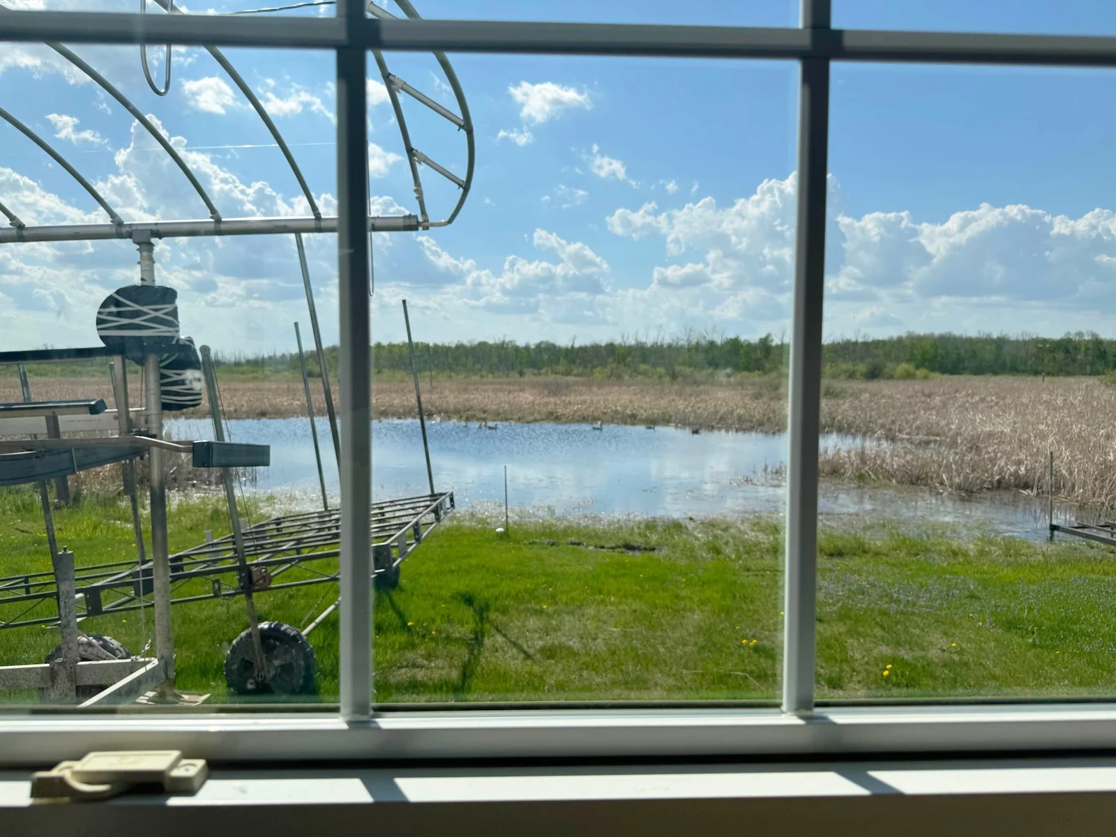 Your view of the backyard from the living room, once the dock is in, excellent nature viewing of the pond!