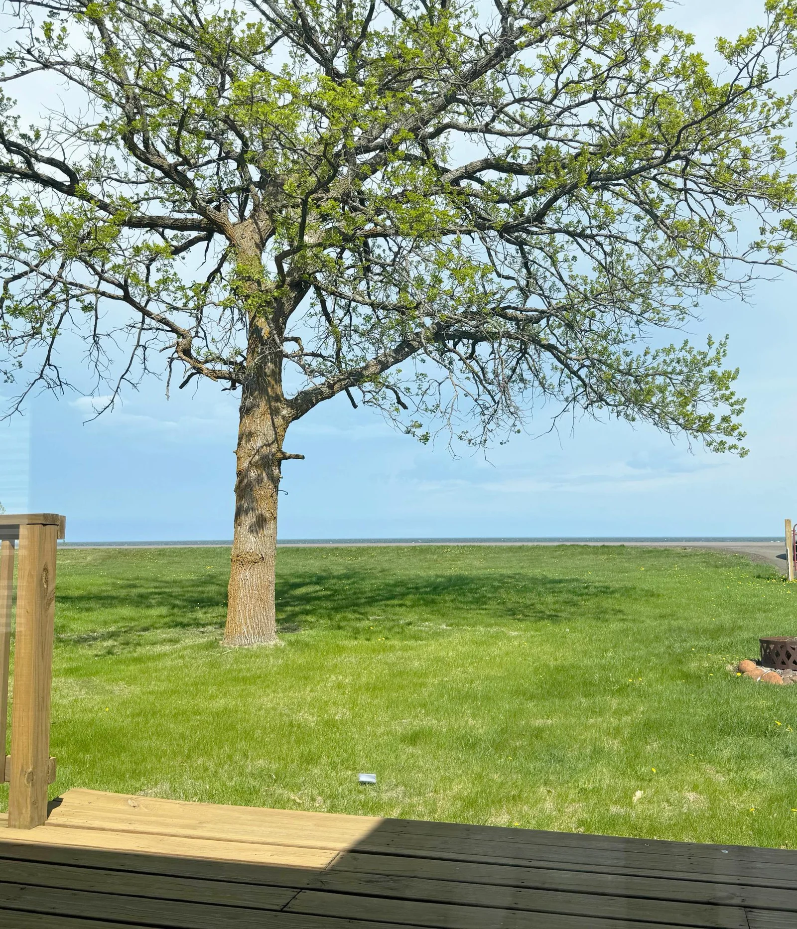 Your view of the front yard and the lake beyond from the sliding glass door in the living room.