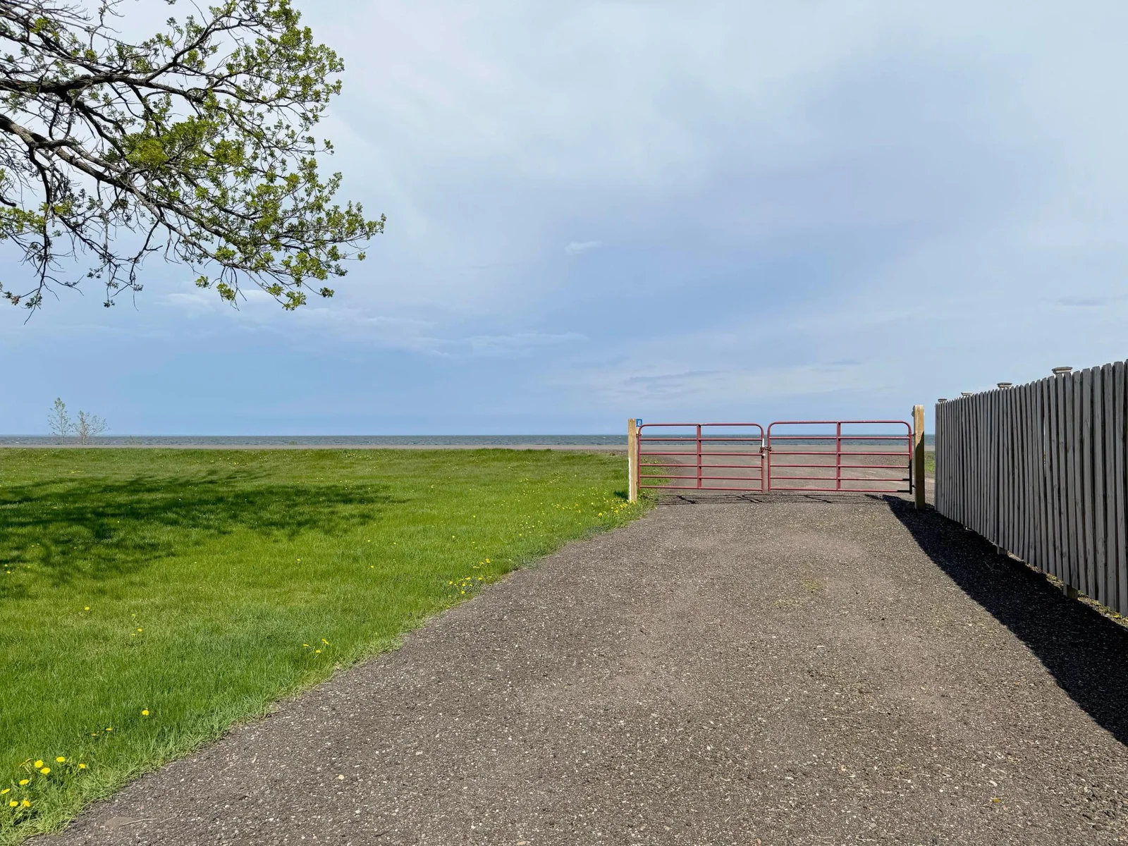 A shot of the driveway and the gate adjacent to the front yard.