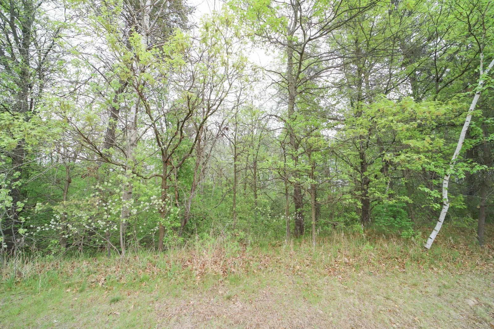 Thumbnail photo 19