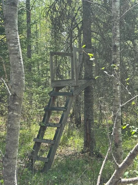 Deer Stand 2 pic.jpg