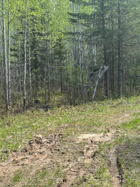 Deerstand 1 pic.jpg