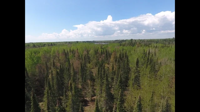 15 ac Sunset Drv Drone look west pic.png