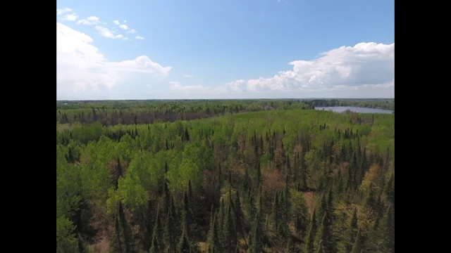 Drone 4  pic.png