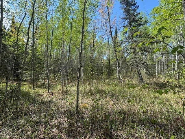 15 ac Sunset Drv Land 5 pic.jpg
