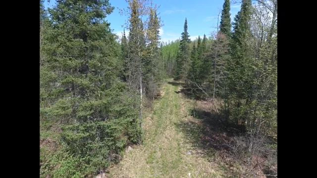 Driveway 1 pic.png