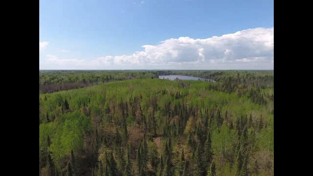 Drone 3 pic.png