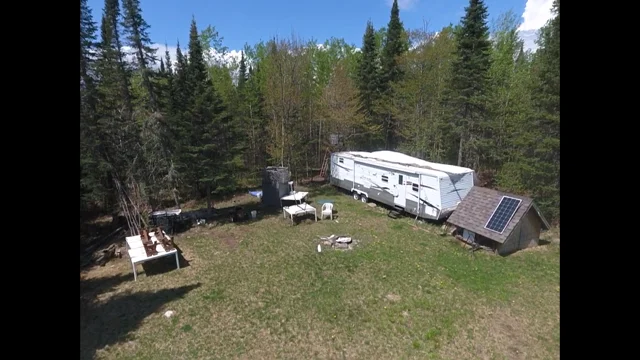 Clearing and Yard pic.png