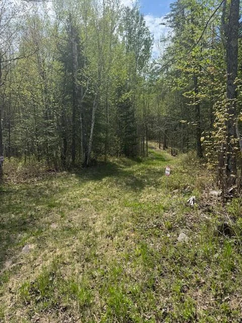 15 ac Sunset Drv trail to clearing pic.jpg