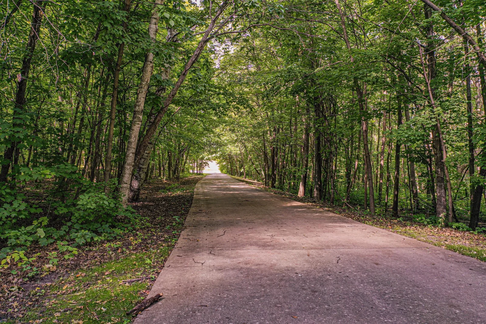 Concrete Driveway.jpg