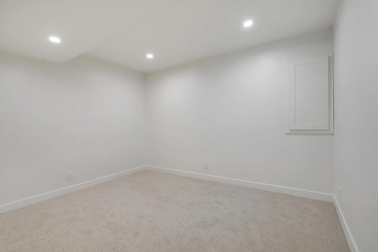 AFTER lower level flex room
