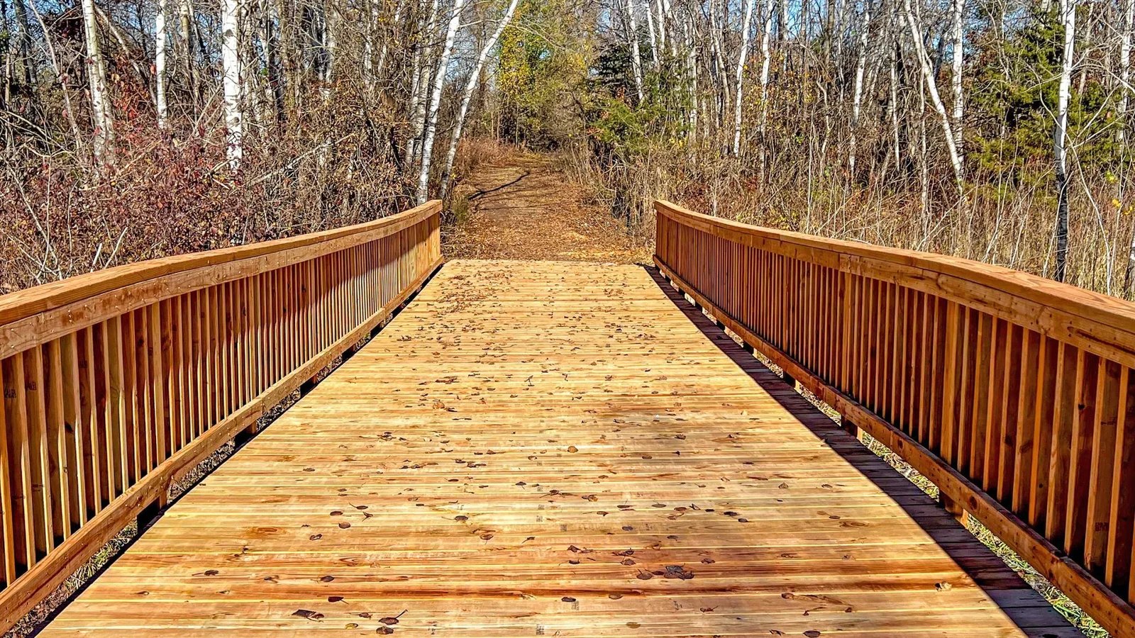 Shores-of-Eagle-Lake_Bridge-2.jpg