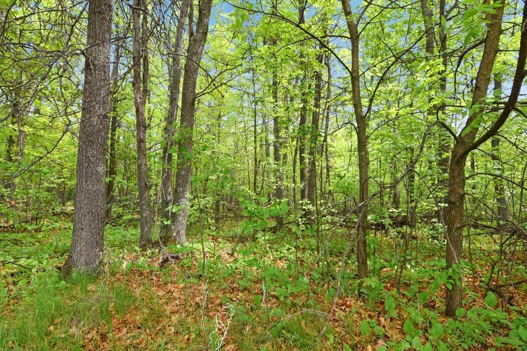 This beautiful wooded lot is the perfect place to build your Up-North Dream Home!