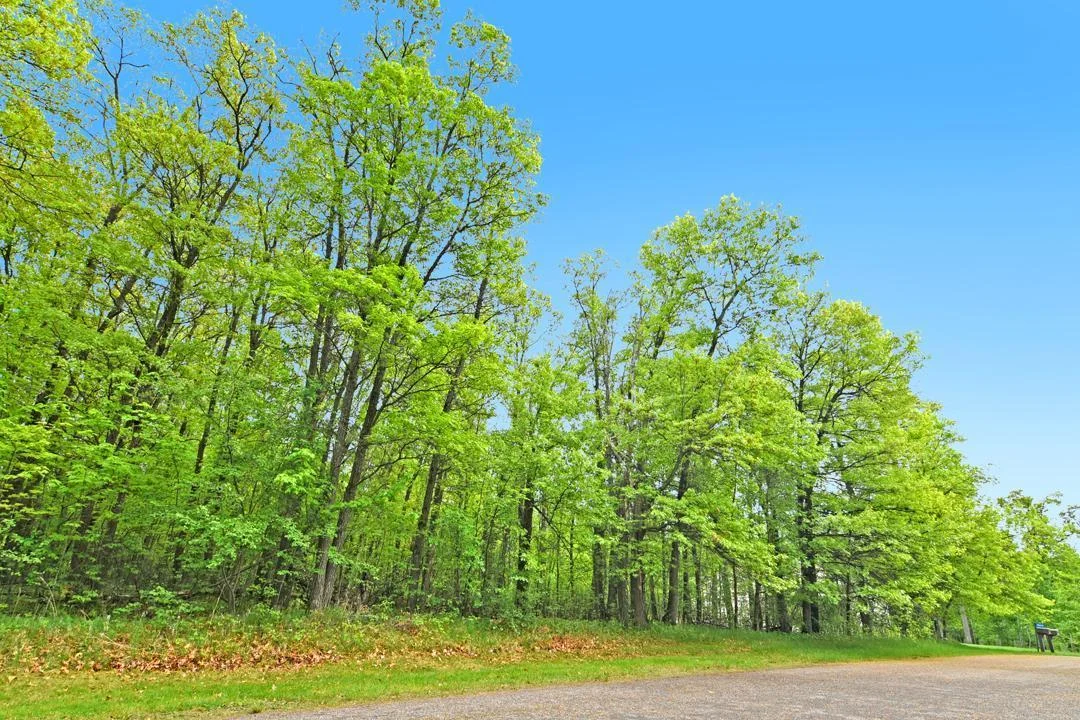 This beautiful wooded lot is the perfect place to build your Up-North Dream Home!